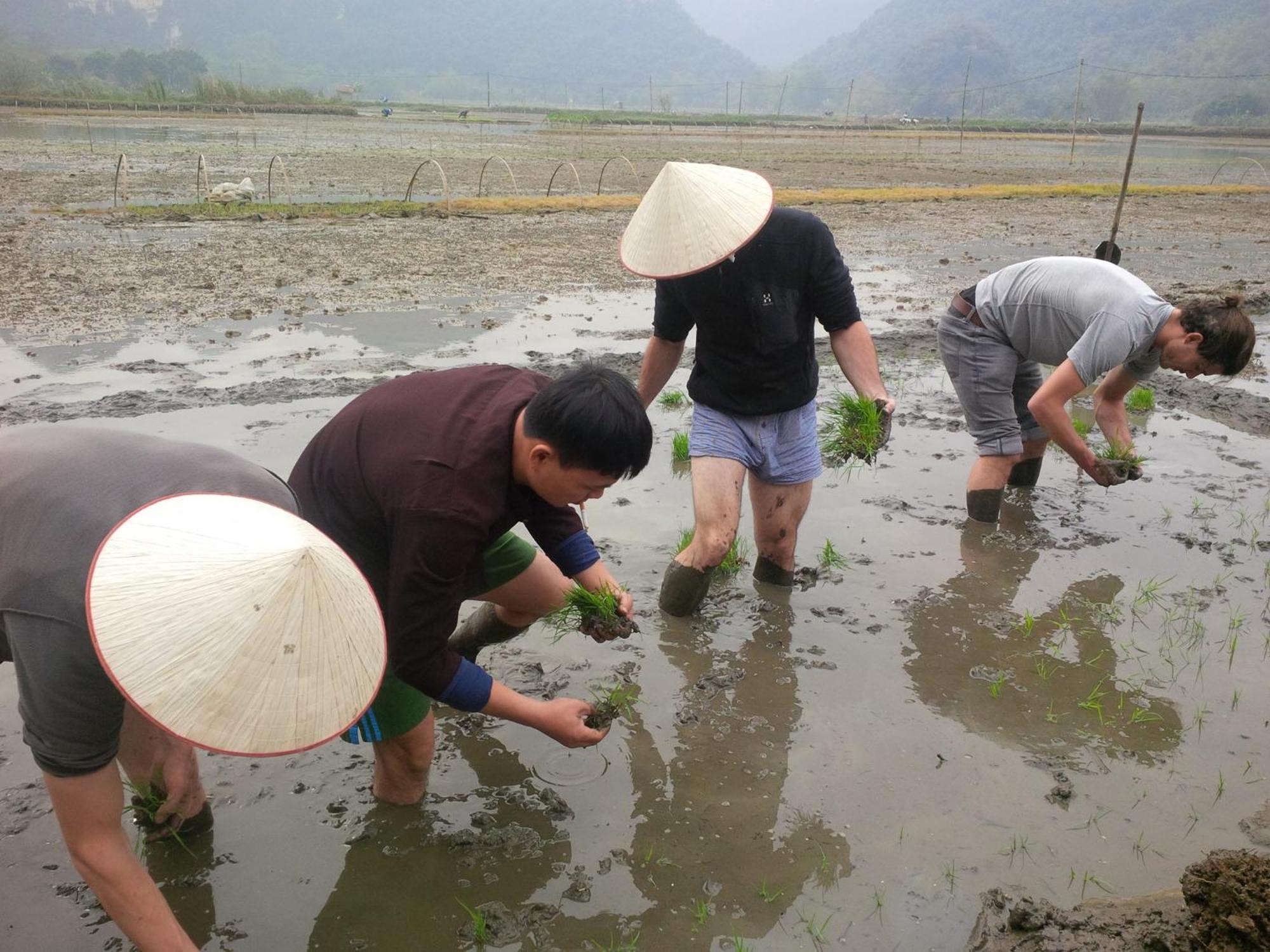 Tam Coc Rice Fields Resort Ninh Binh Exterior foto